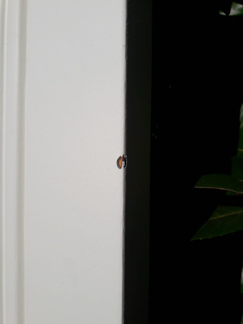 Door 207x99,5cm communication back panel molded