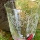 7 glasses the blueberries transparent glass and vintage white flowers 1960