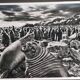 Offset edition in black and white "Genesis" after Sebastião Salgado, framed under glass, 30 x 38 cm