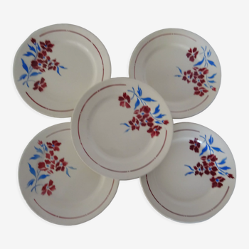 5 assiettes  anciennes faience Badonviller  décor fleurs bleu-rouge