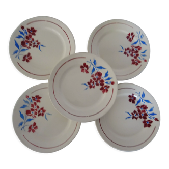 5 assiettes  anciennes faience Badonviller  décor fleurs bleu-rouge