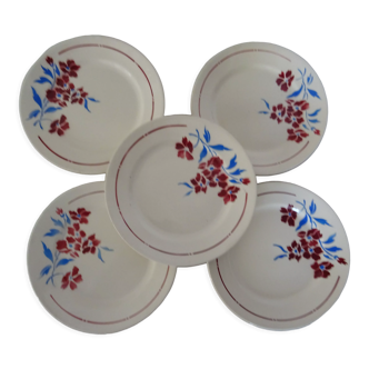 5 plates old faience Badonviller decoration flowers blue-red