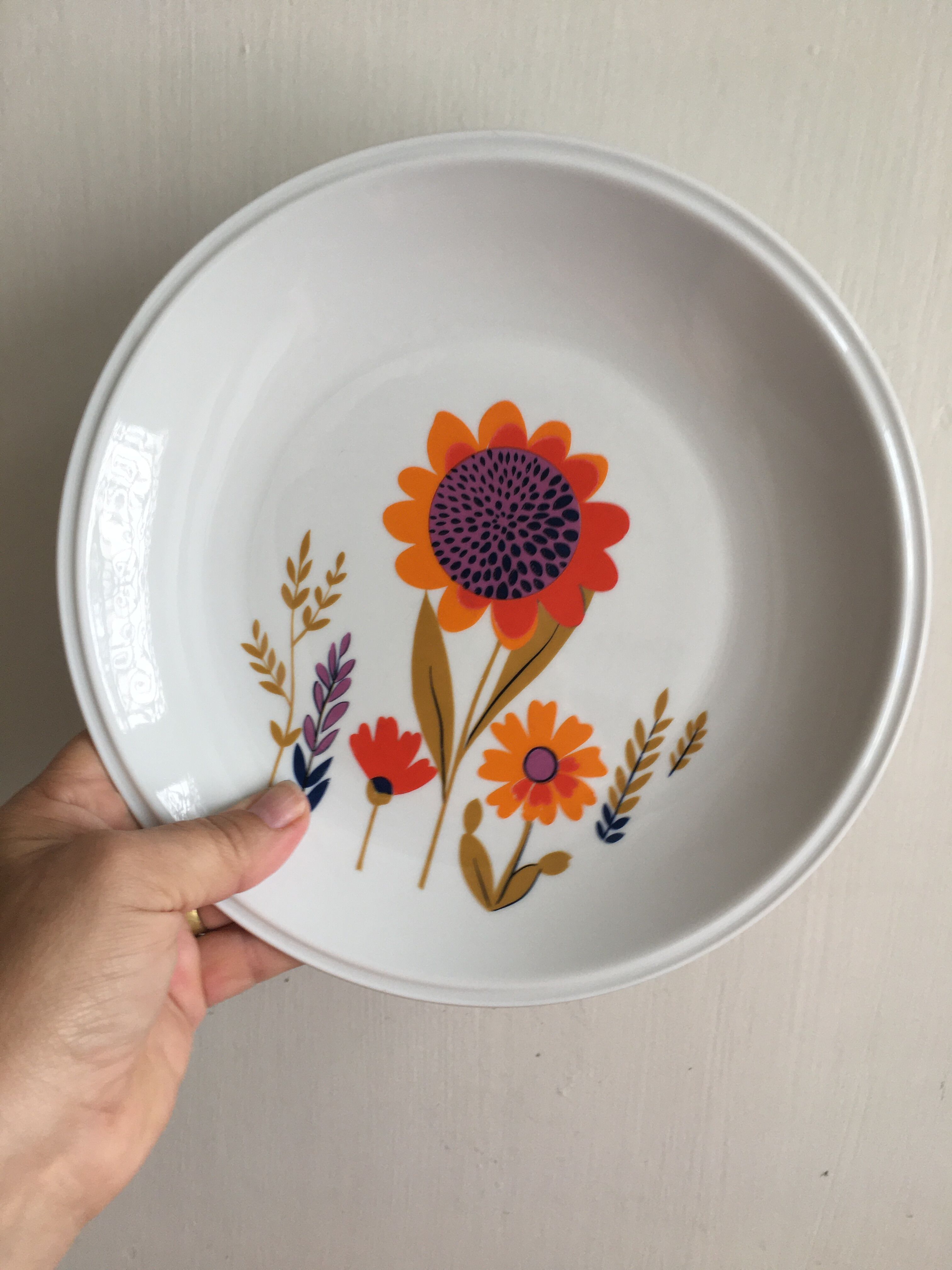 Sologne Porcelain Pop Flat Plates
