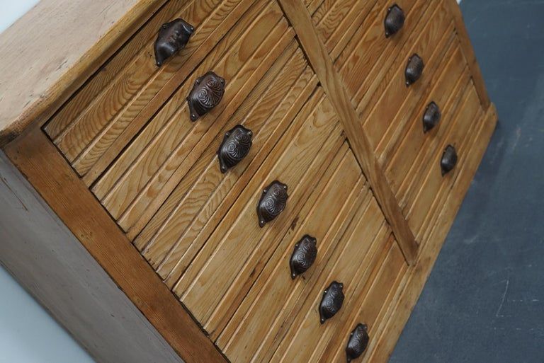 Apothecary furniture in French pine twentieth century