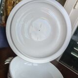 Old vegetable tree in iron earth by Saint-Amand