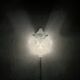 Tulipan Wall Lamp by J.T. Kalmar