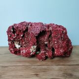 Red coral