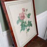 Redouté pink botanical boards