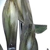 Pair of vintage palm leaf appliques