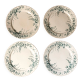 4 plates iron earth Linnet with birds