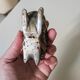 Deer paperweight