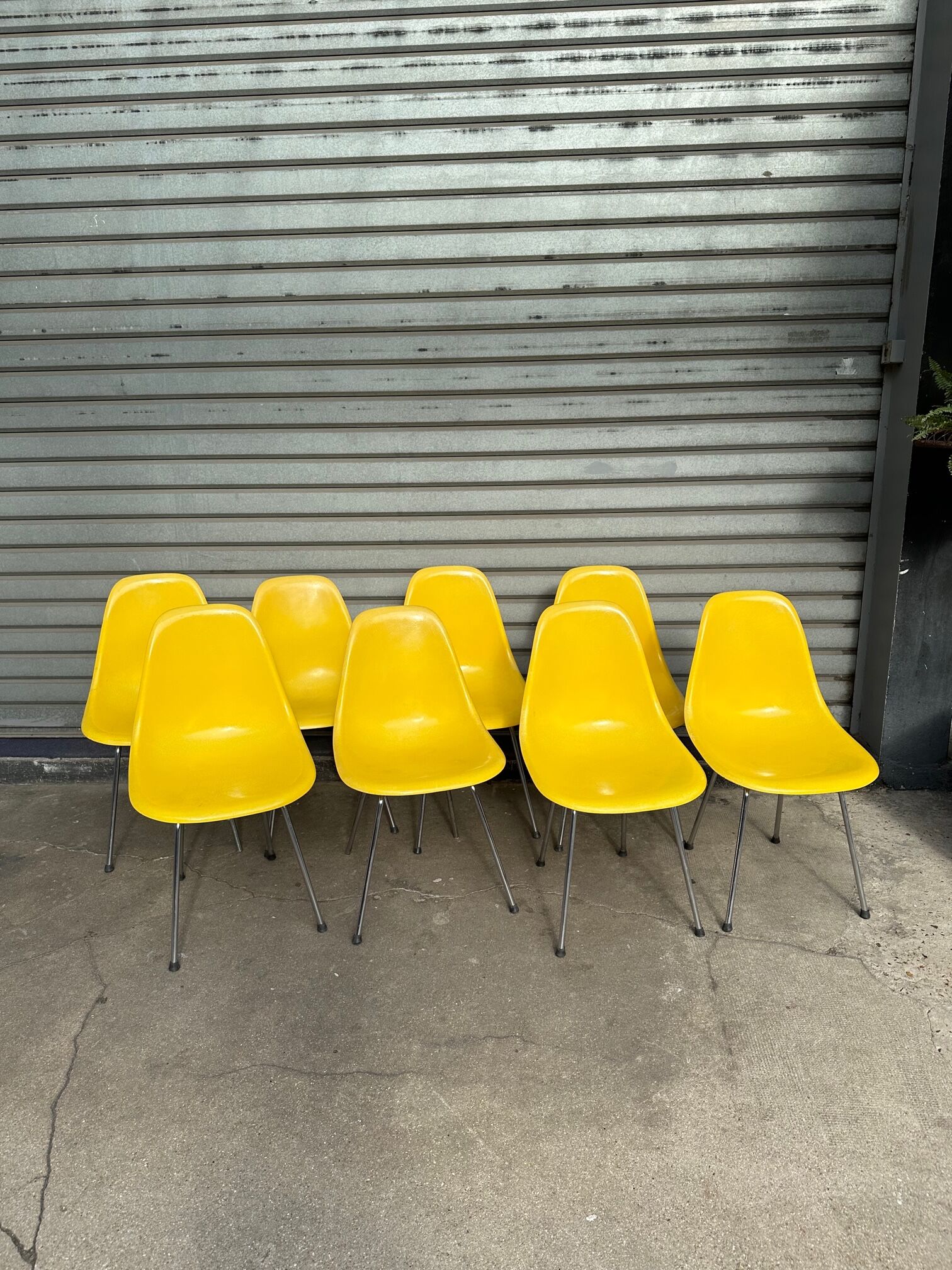 Fiberglass chairs from Ray&Charles Eames for Herman Miller