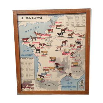 School poster Big breeding / the Rhône 1960 vintage