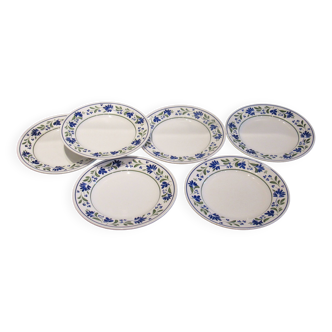 6 Dinner plates Salzburg collection by Churchill