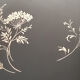 Black lase tray
