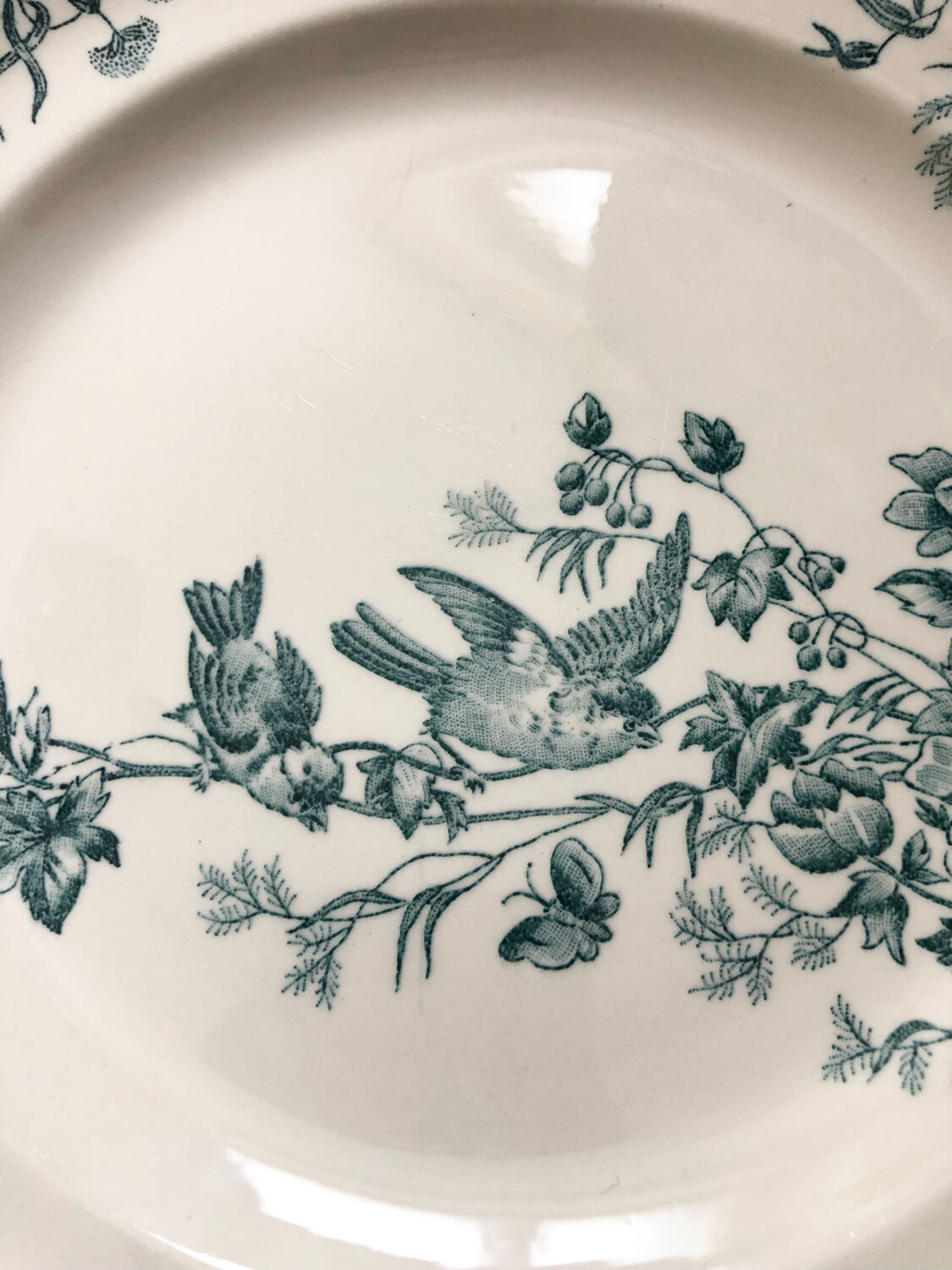 6 assiettes terre de fer oiseaux Longwy « mignon »