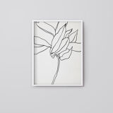 Set of 6 giclee prints. Botanical series
