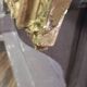 Antique French mantel mirror Louis Philippe style
