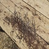 Narrow farmhouse table 270cm