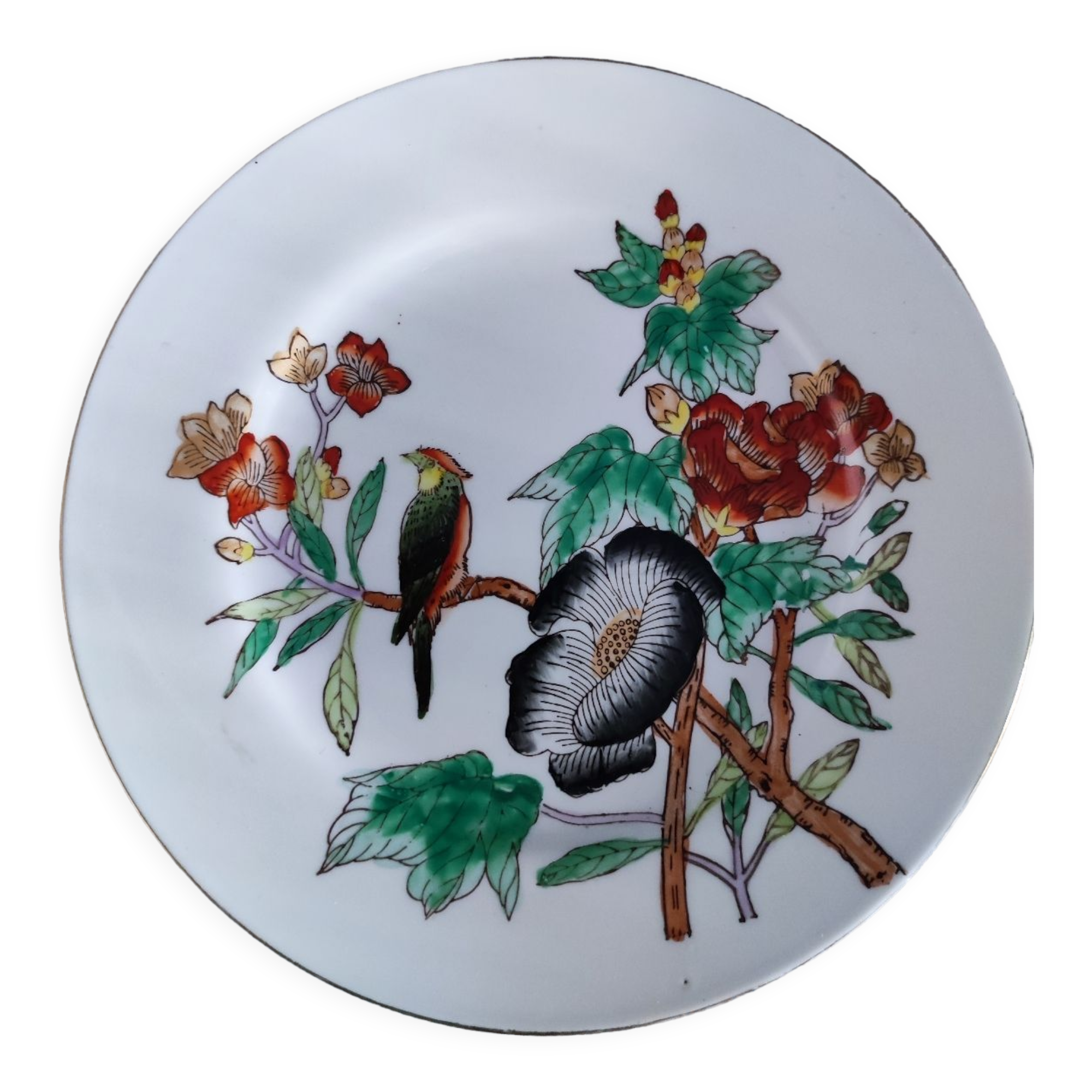 Asian plate
