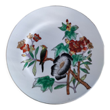 Asian plate