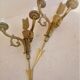Ancienne paire d'appliques en bronze doré de style empire