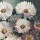 Oil on panel - Bouquet of flowers