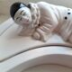 Jewelry box Pierrot 80s
