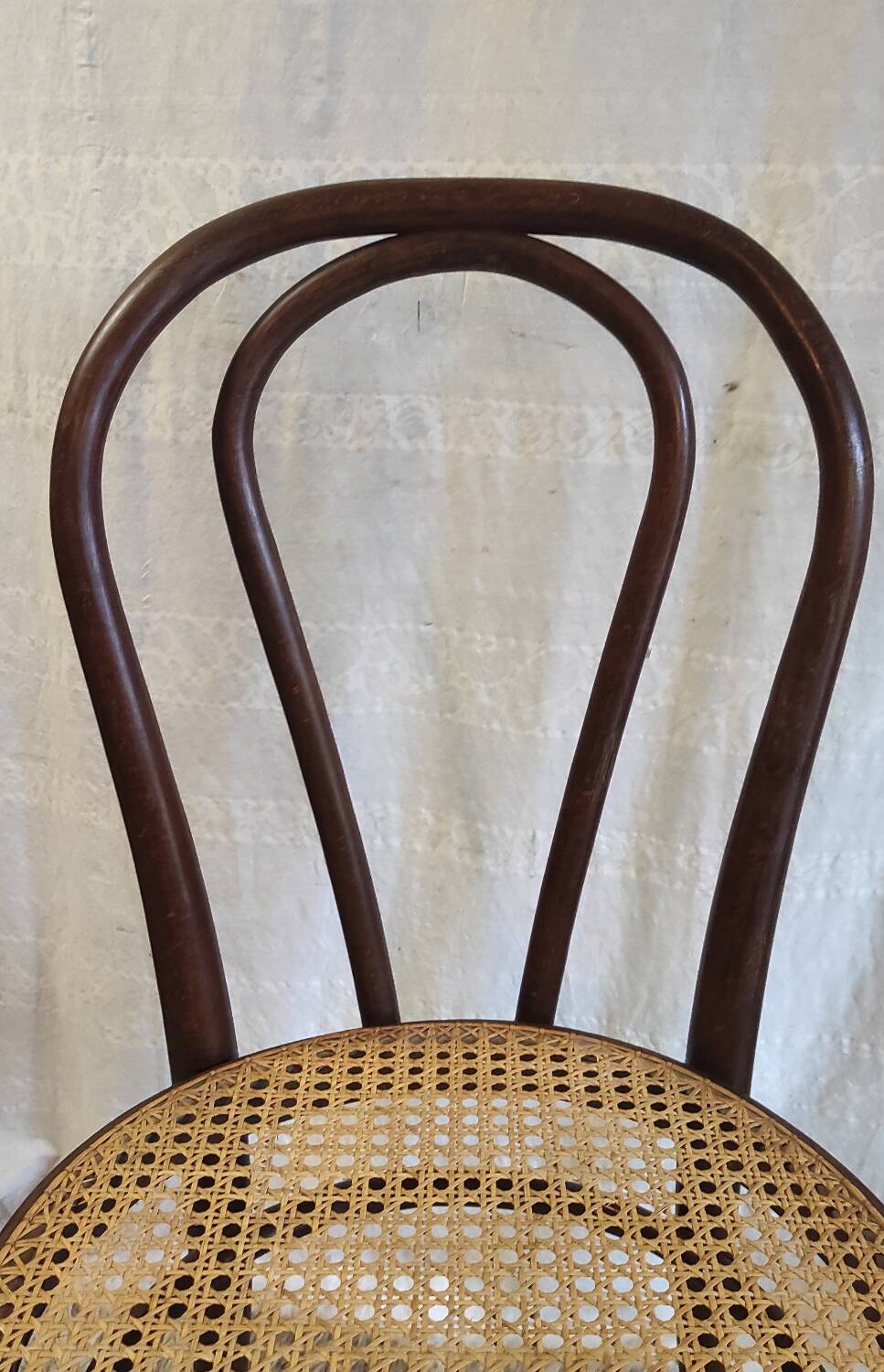Bentwood and cane chair - mid 20th century