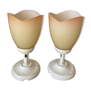 Paire d'appliques fleur