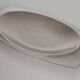 Letang Remy stainless steel dish