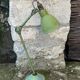 Lampe Gras