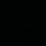 Mongoose coffee table by François Monnet, Kappa publisher, 1970s.