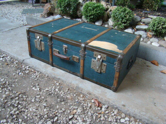 Old trunk case