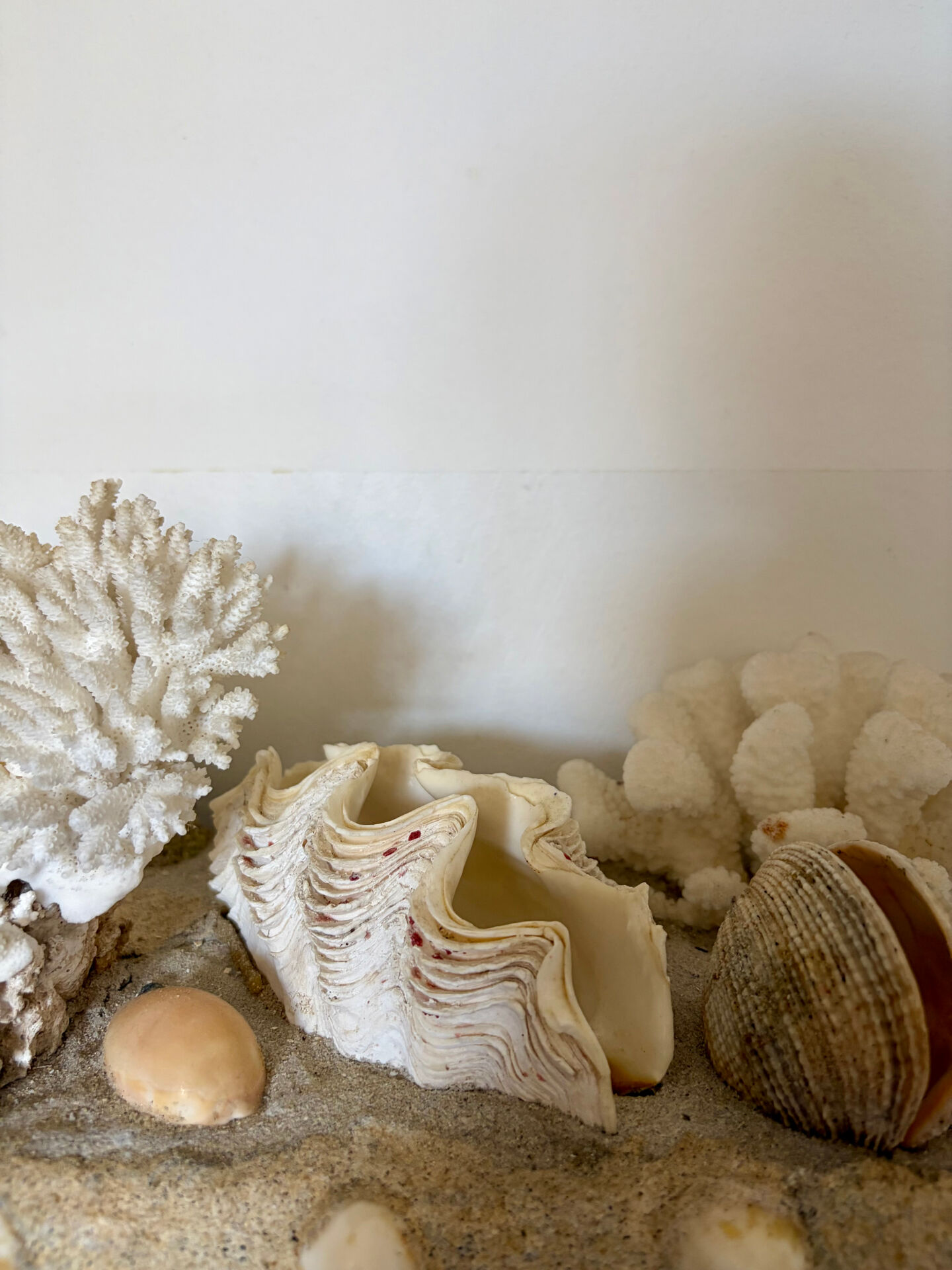 Marine composition