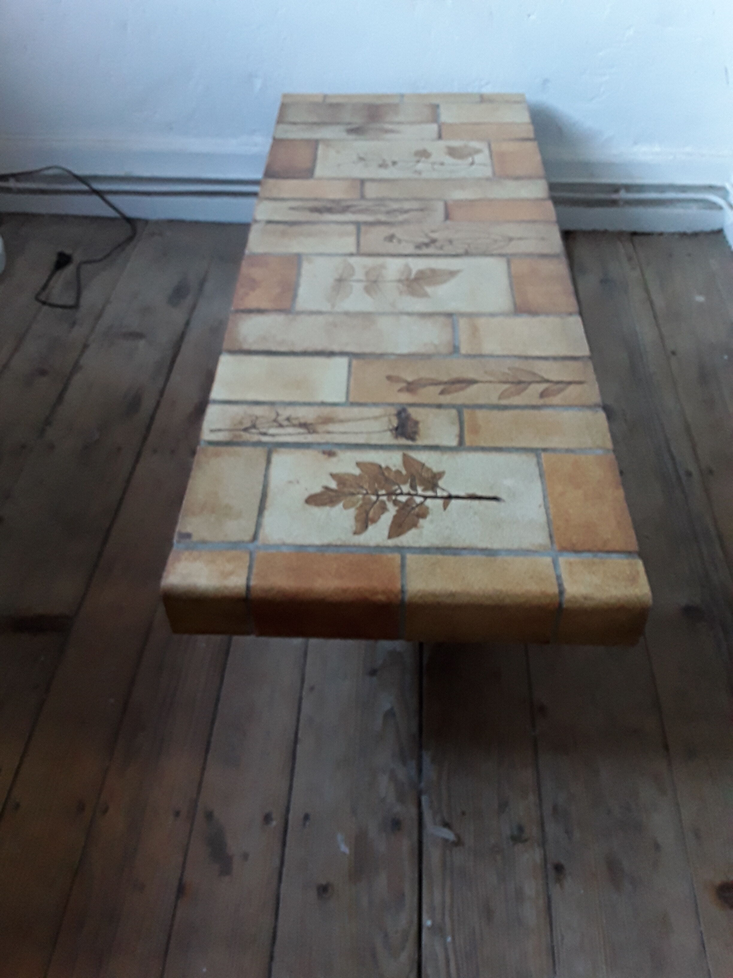 Coffee table Roger Capron model "herbarium"