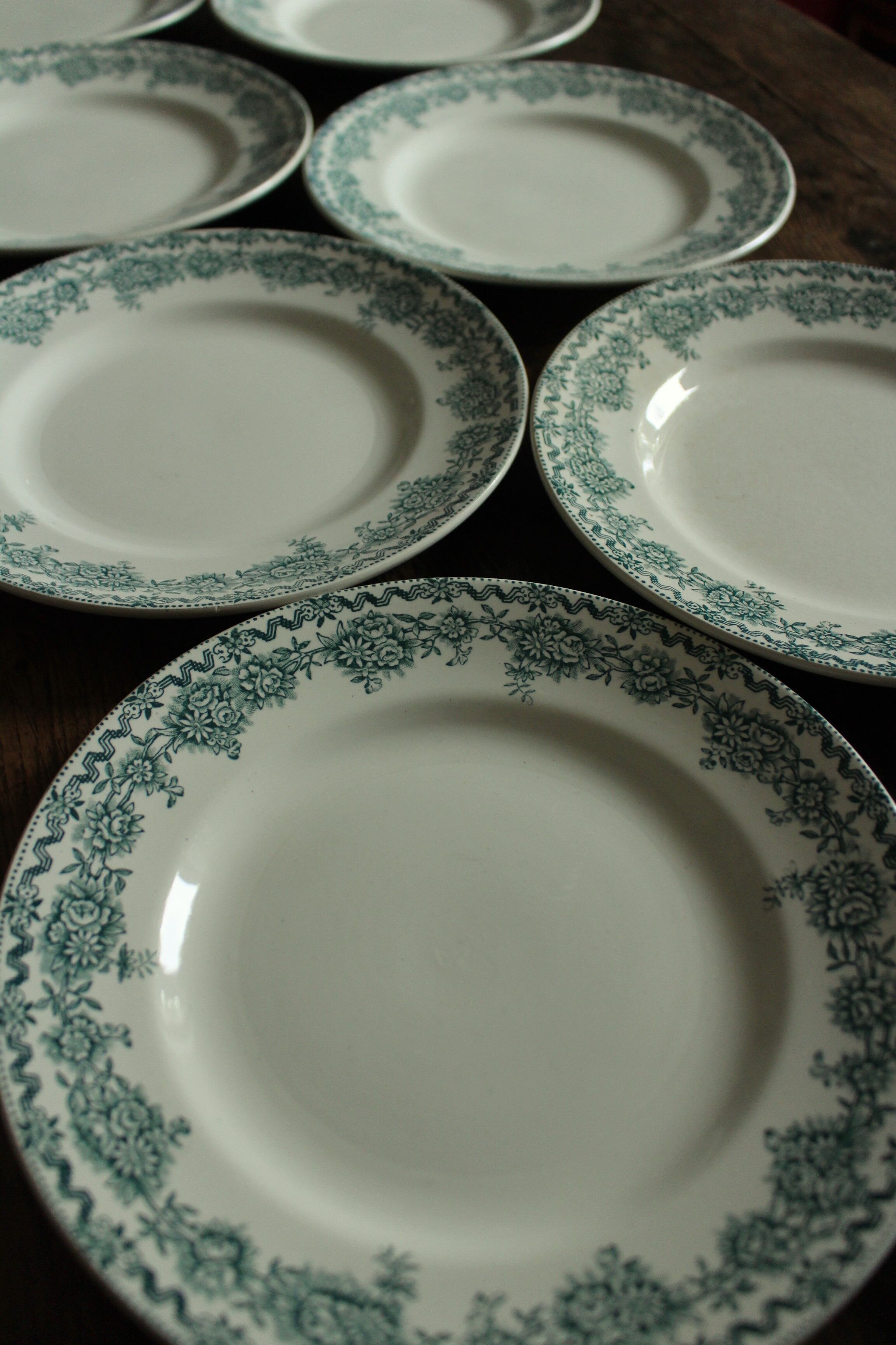 Lot 8 flat plates Terre de Fert vert Fleurs Argenton Saint Amand
