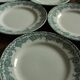 Lot 8 flat plates Terre de Fert vert Fleurs Argenton Saint Amand