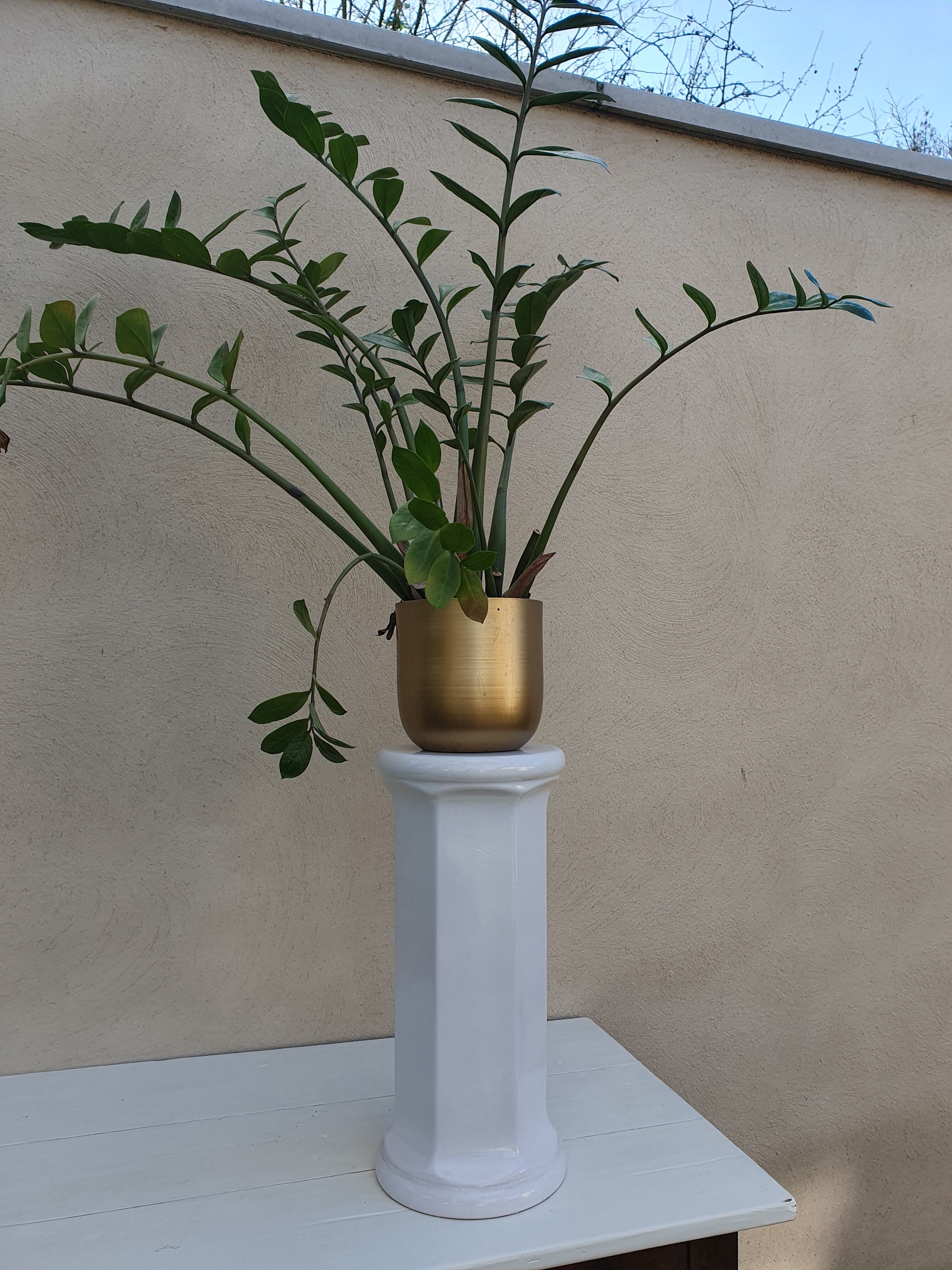 Cracked earthenware harness or column plant holder