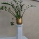Cracked earthenware harness or column plant holder