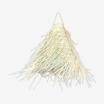 Palm leaf suspension
