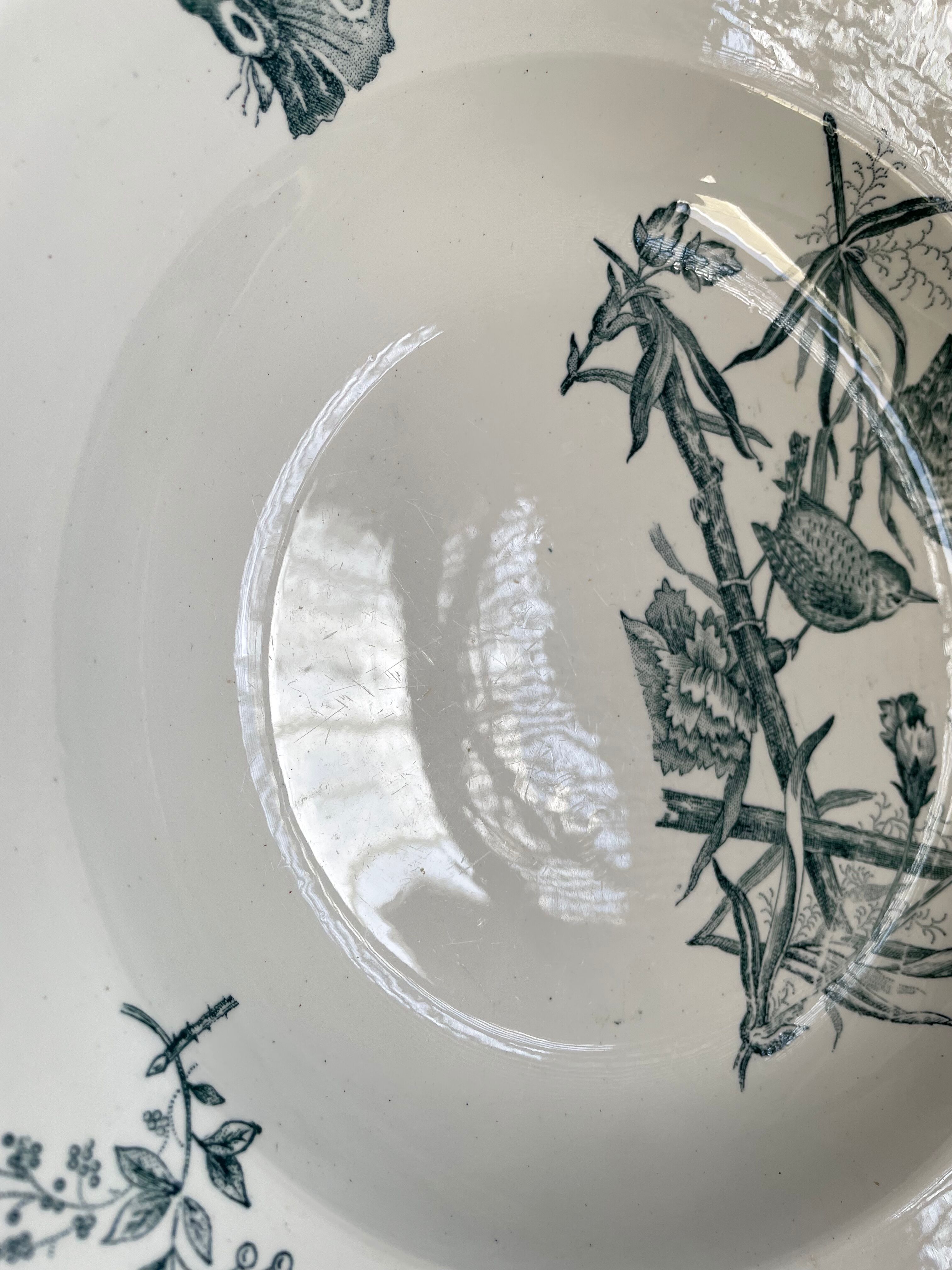 Hollow dish Saint Amand & Hamage "Aucella"
