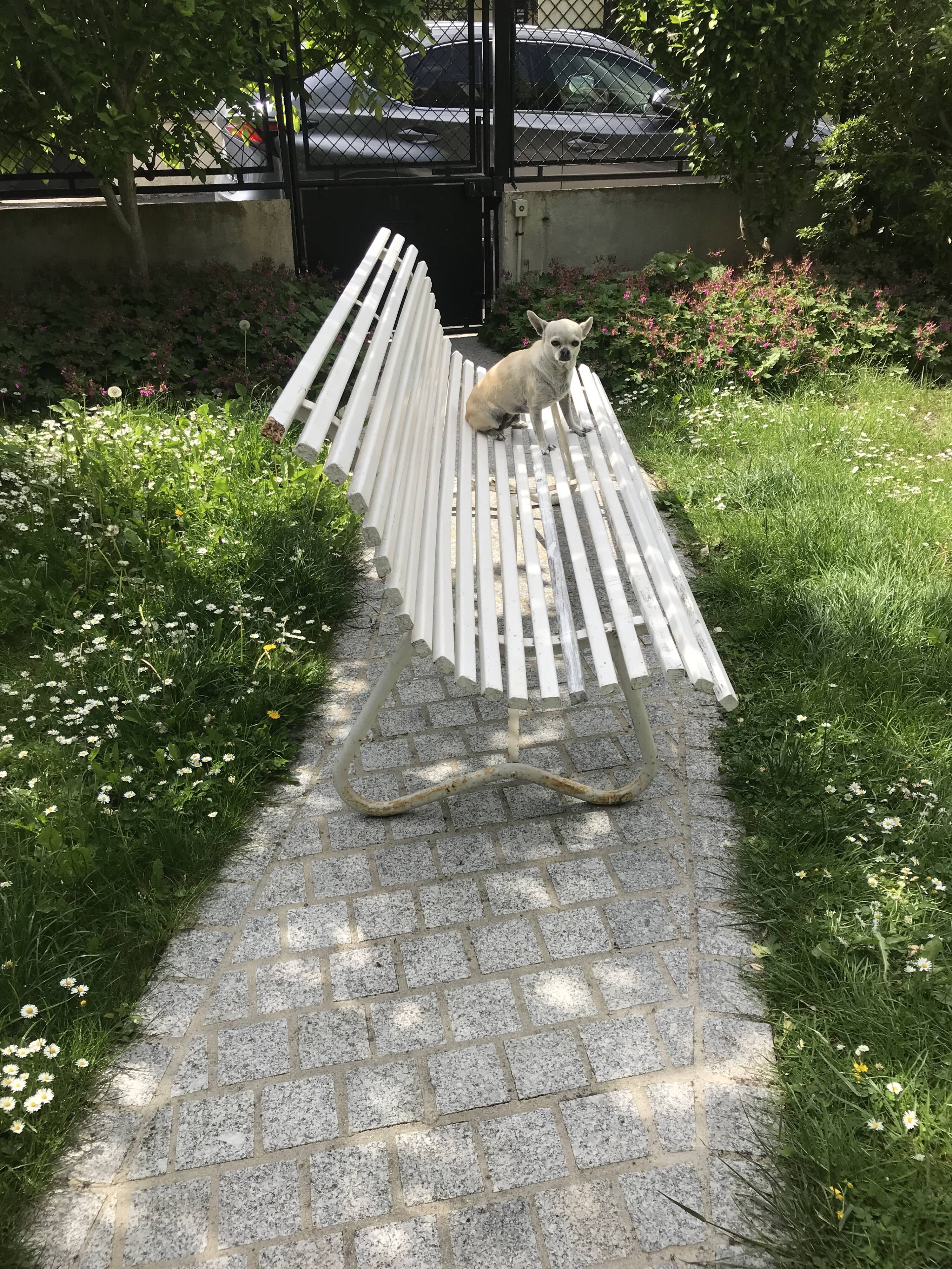 White metal Garden Bench and wooden slats 1970