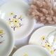 Vintage Salins deep plates