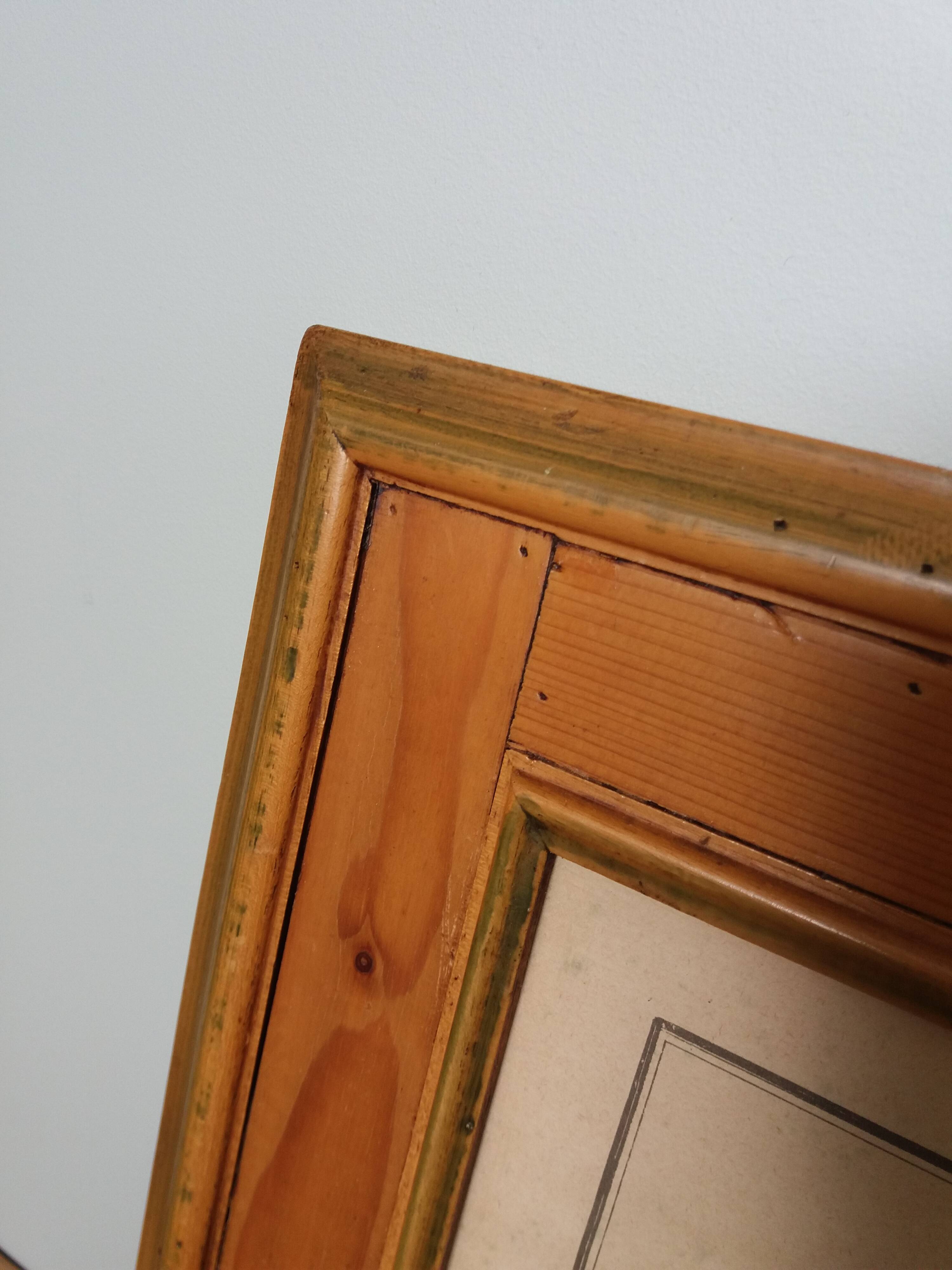 Botanical plate, iris flower engraving, framed by Guiseppe Canacci