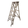 Stepladder