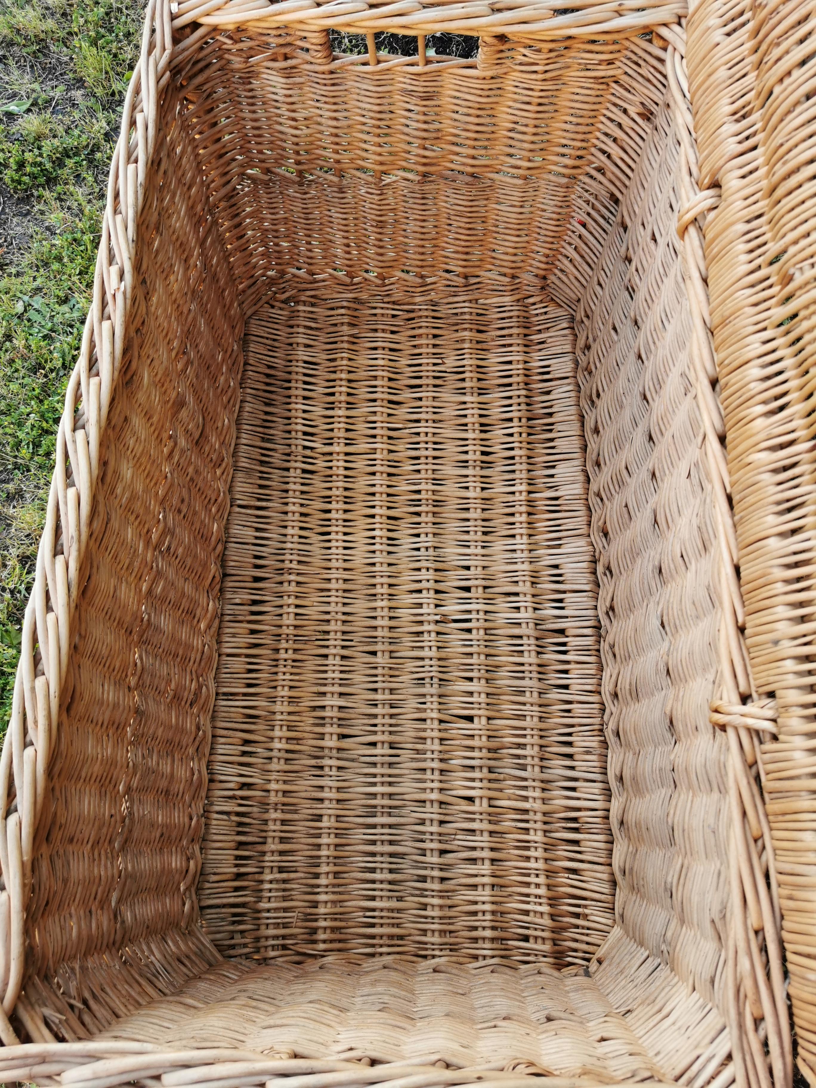Rattan trunk