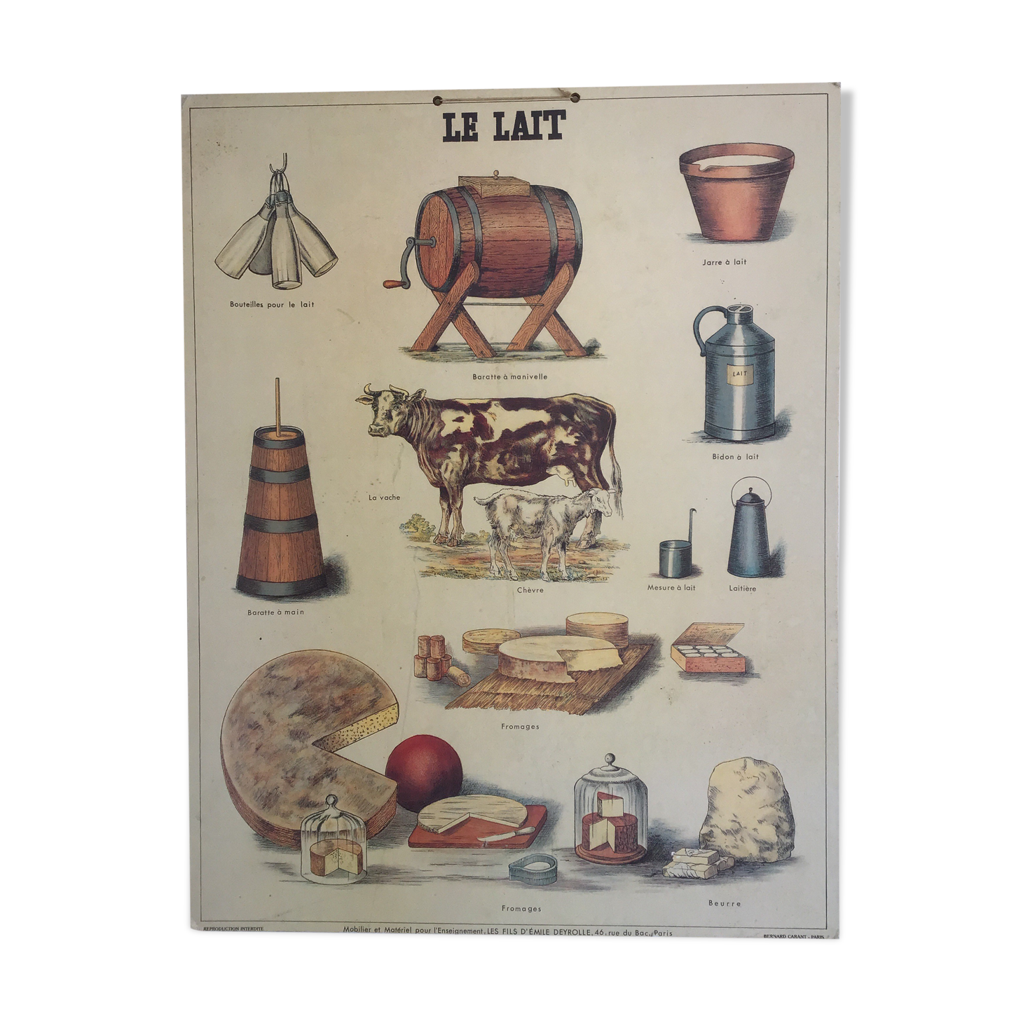 Educational school poster on milk