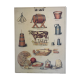 Educational school poster on milk