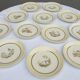 Set 12 assiettes Gien 1960 jardins japonais variations en jaune mineur